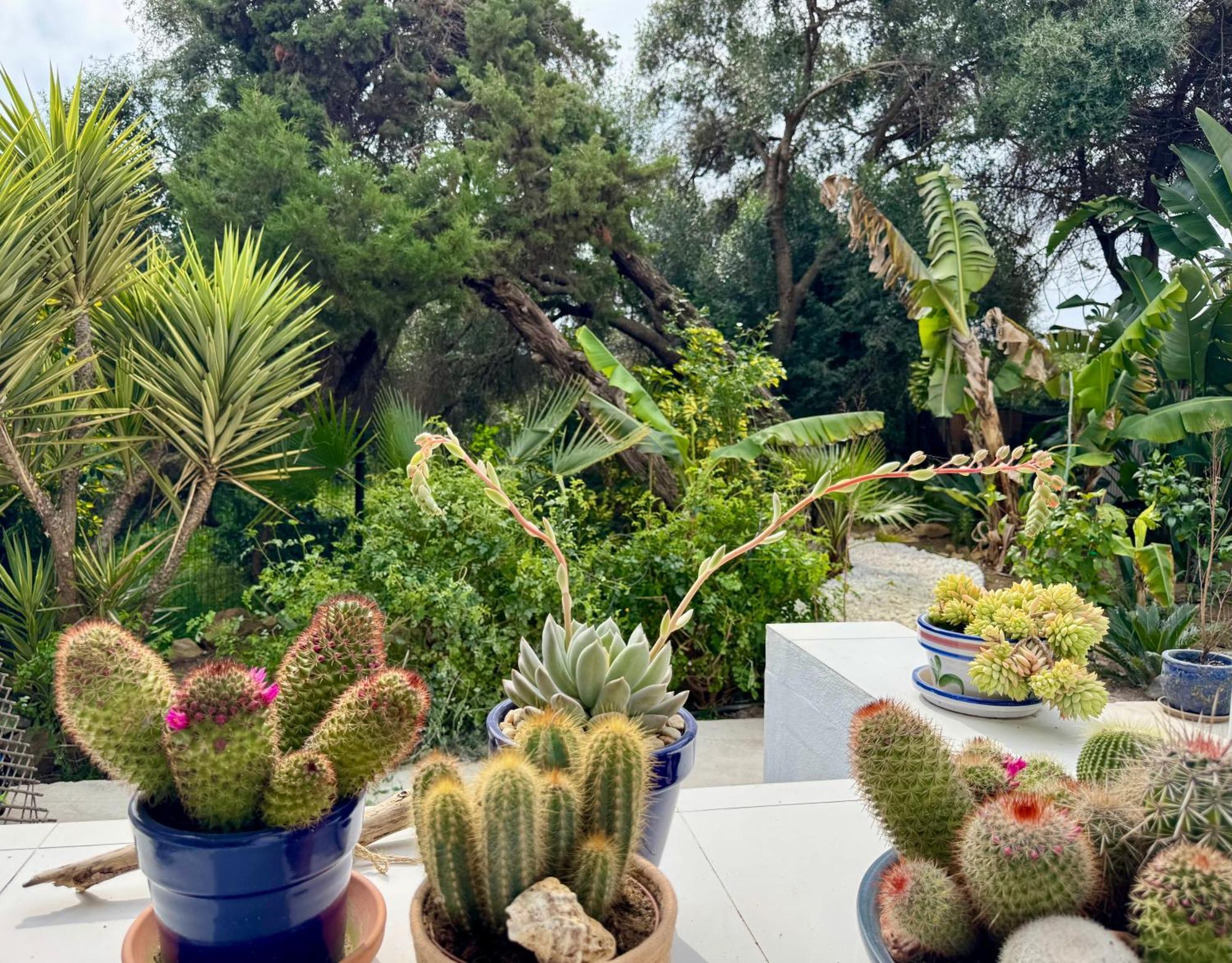 Casa Blu Marbella别墅 外观 照片