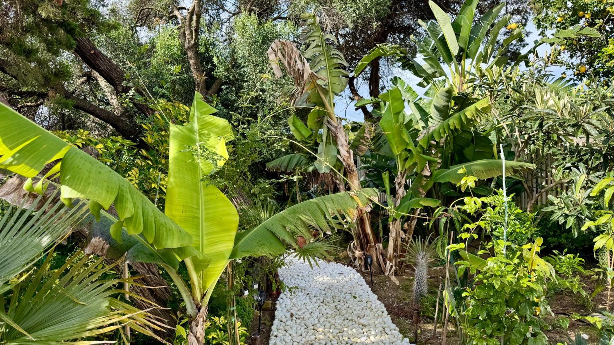 Casa Blu Marbella别墅 外观 照片